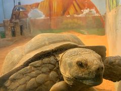 -华夏文旅西安度假区