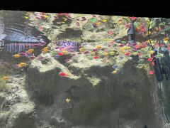 -苏州海洋馆