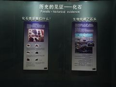 -世界恐龙谷景区