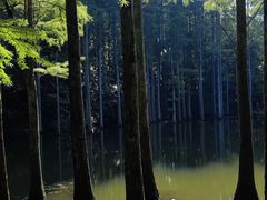 -波尔登森林公园