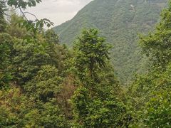 -遂昌金矿国家矿山公园