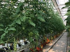 -中国农科院国家农业科技展示园