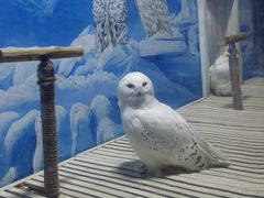 -成都浩海立方海洋公园