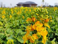 -中国天府农业博览园