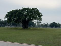 -万绿园