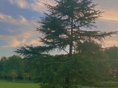 -杭州城北体育公园