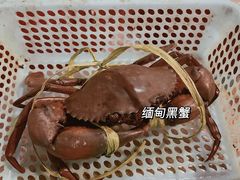 -瑞丽活螃蟹(芒市店)