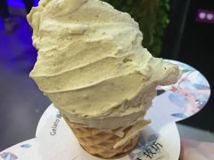 -野人先生现做冰淇淋(西安赛格店)