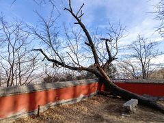 -阳台山自然风景区