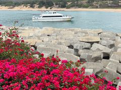 -三亚南山文化旅游区