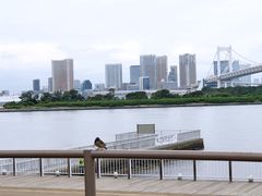 -台场海滨公园船码头