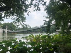 -东湖落雁景区