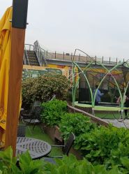 -小蜜蜂农场(凯德七宝购物广场店)