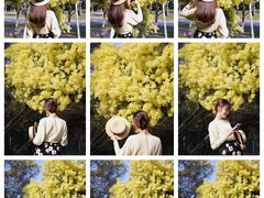 -厦门国家会计学院