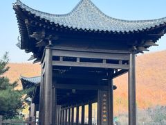 -徂徕山森林康养度假谷温泉