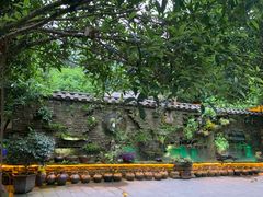 -青城甲(青城山店)