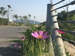 -定都峰