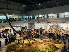 -自贡恐龙博物馆