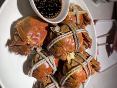 -杨氏青龙虾·羊蝎子(金盛路总店)