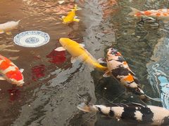 -唐山河头老街国丰维景度假大酒店