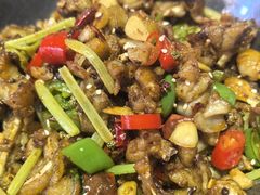 -怪怪龙虾·澳洲蓝龙上新(惊驾路店)