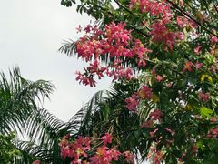 -四海公园(南山区)