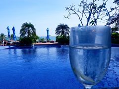 -芽庄喜来登水疗酒店