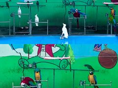 -五龙山野生动物王国
