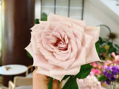 -森野花艺培训·企业团建活动沙龙