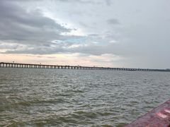 -宝安西湾红树林湿地公园