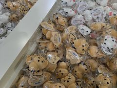 -KAKAO FRIENDS(弘大店)
