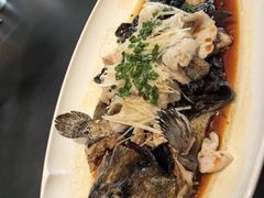 青花椒油泼老虎斑-开海·红岛海鲜虾水饺(石老人店)