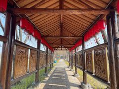 -长兴太湖图影湿地文化园