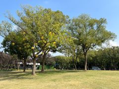 -蠡湖大桥公园