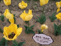-江南大学(蠡湖校区)
