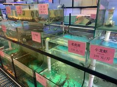 水产区-联邦酒楼