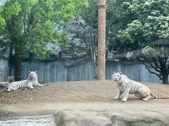 -常州淹城野生动物世界