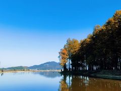 -四明山国家森林公园