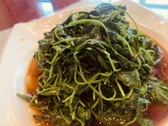 -新聚丰菜馆(太监弄店)