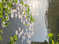 -文瀛公园