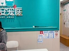 -安安宠医·臻爱宠物医院·宠保定点(营门口路分院)