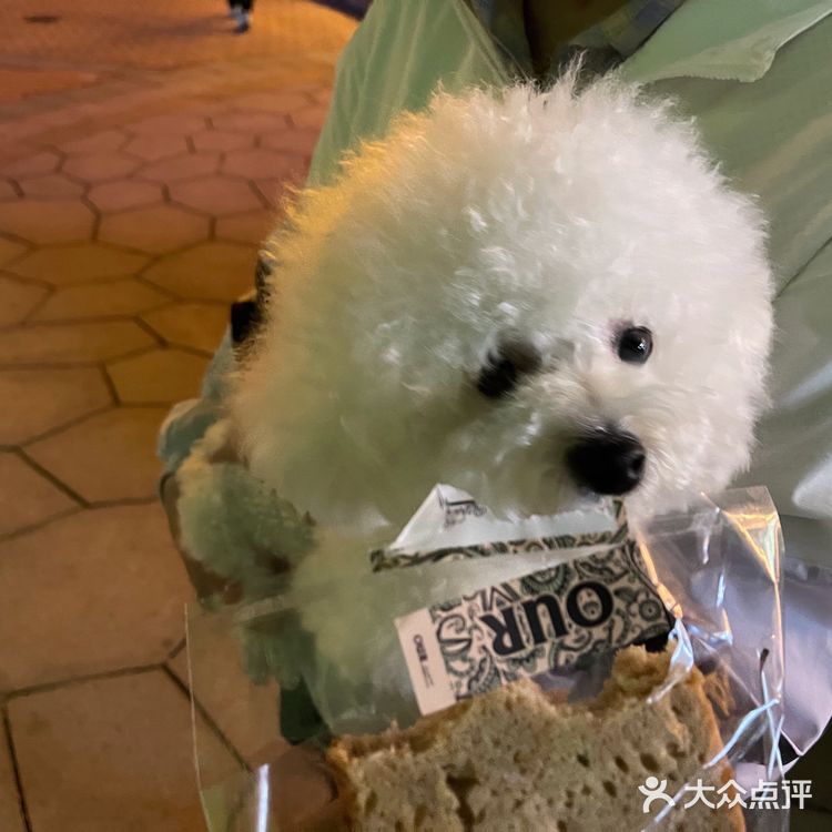 our bakery 口味独特的店