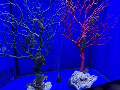 -多彩贵州城极地海洋世界