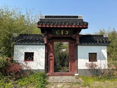 -上海海湾国家森林公园