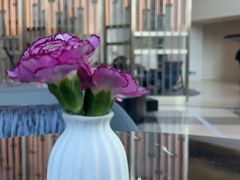 -茶源Fountain Lounge大堂吧·北京东方君悦大酒店