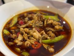 麻辣馋嘴蛙-渝信川菜(工体店)