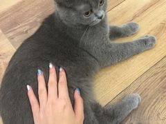 -袖虎·猫馆(体育西路店)