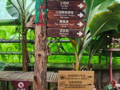-呀路古热带植物园