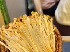 -季季山·云南野生菌火锅(上海首店)