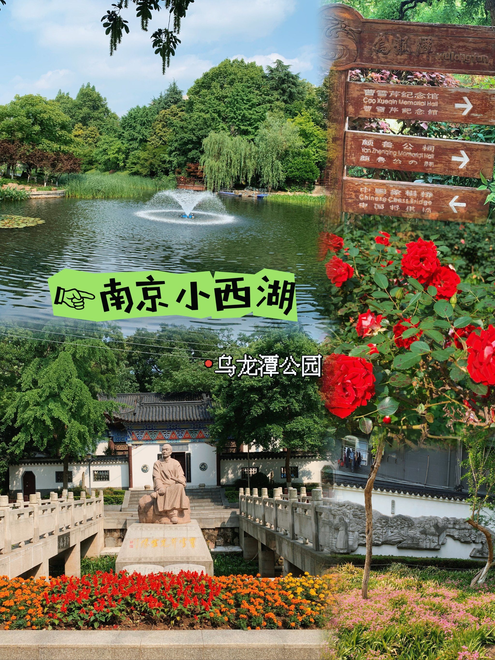 小众景点推荐|在南京常被人忽略的乌龙潭公园